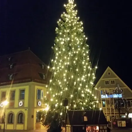 Haus Am Stadtschloss 3 Kueche Bad 아파트 *