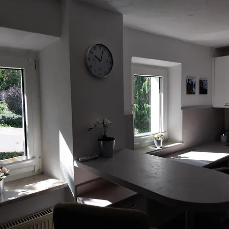 Haus Am Stadtschloss 3 Kueche Bad 公寓 利克田非